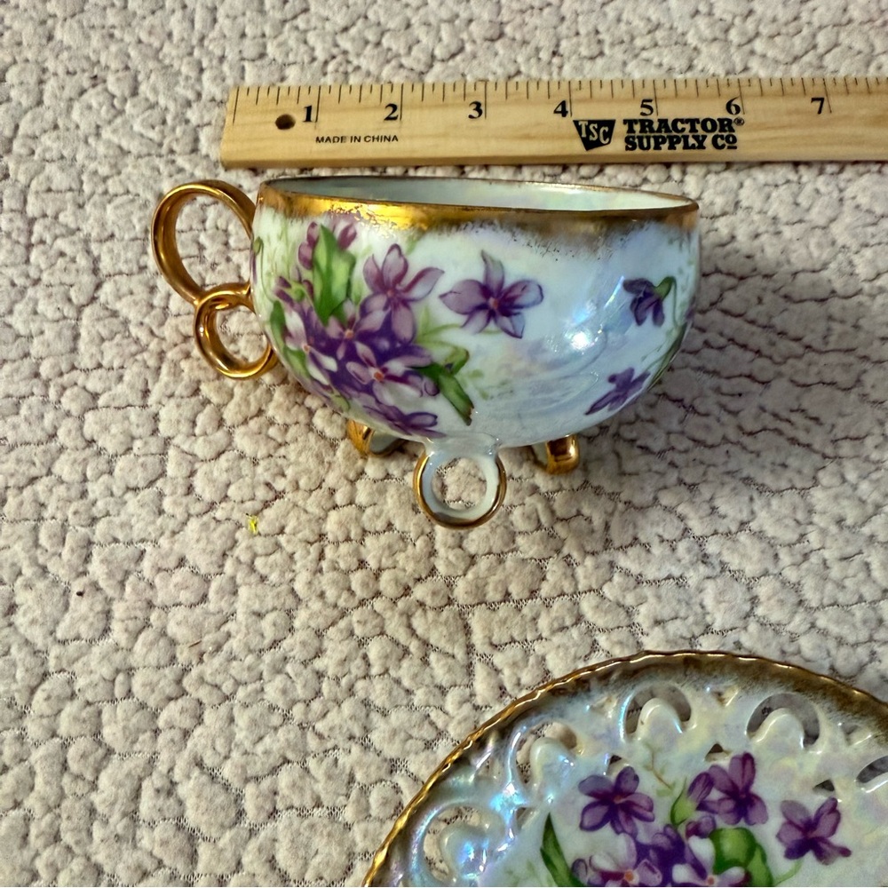 Floral Teacup and Saucer Set with Gold Trim